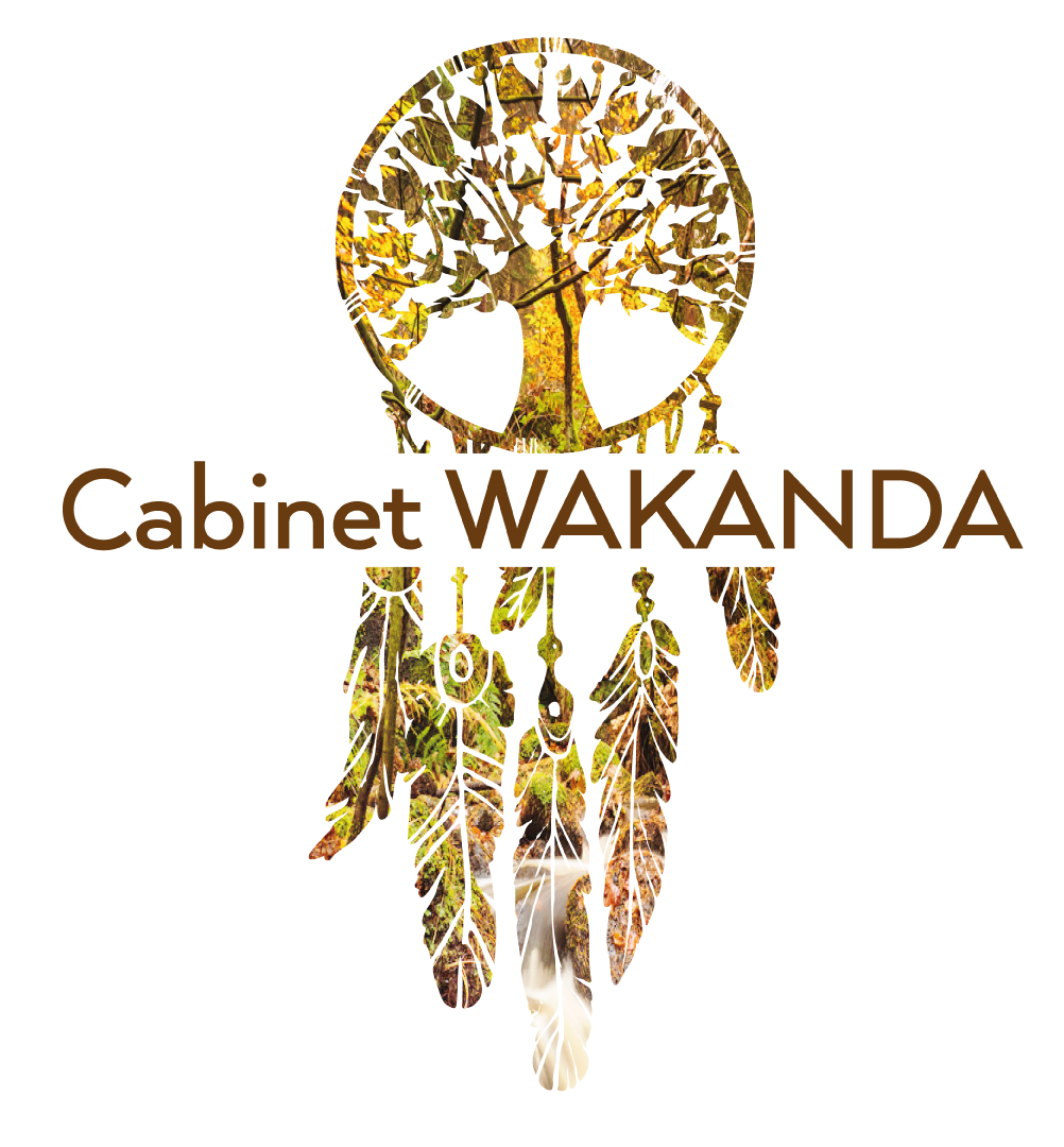 Centre de Formation Wakanda