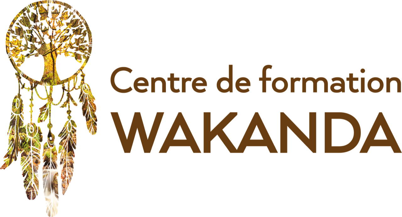 logo-centre-formation-wakanda-annecy-meythet